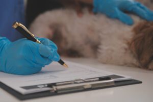 Leia mais sobre o artigo Como montar perfisdiagnósticos maisassertivos: a importânciados Perfis Facilitadoresno dia a dia clínico