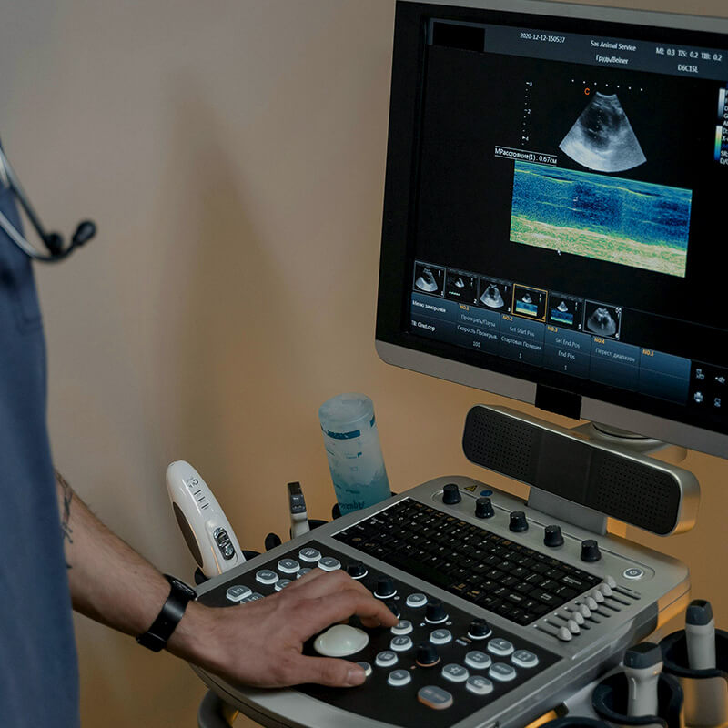 CARROSSEL-SOBRE-LURION-002